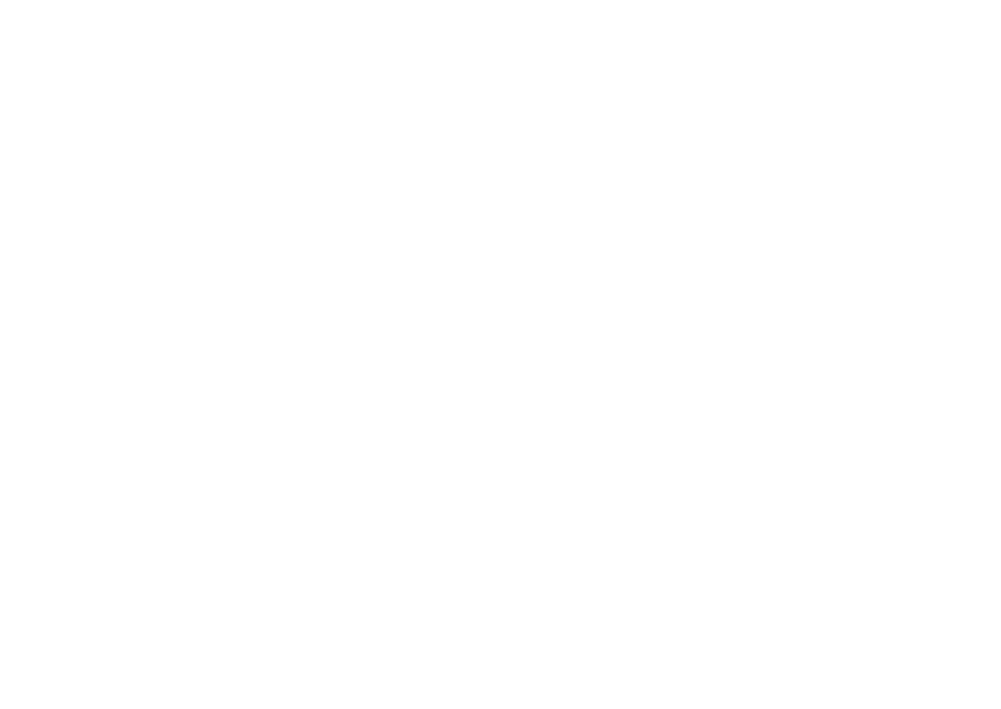 星辰资本 STARRYSEA CAPITAL